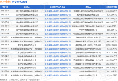 蘇寧金融股權(quán)出質(zhì)8138萬元，金融信息技術(shù)外包業(yè)務(wù)前景引關(guān)注