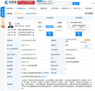 螞蟻集團(tuán)上市在即，金融信息技術(shù)外包助推全球最大規(guī)模IPO